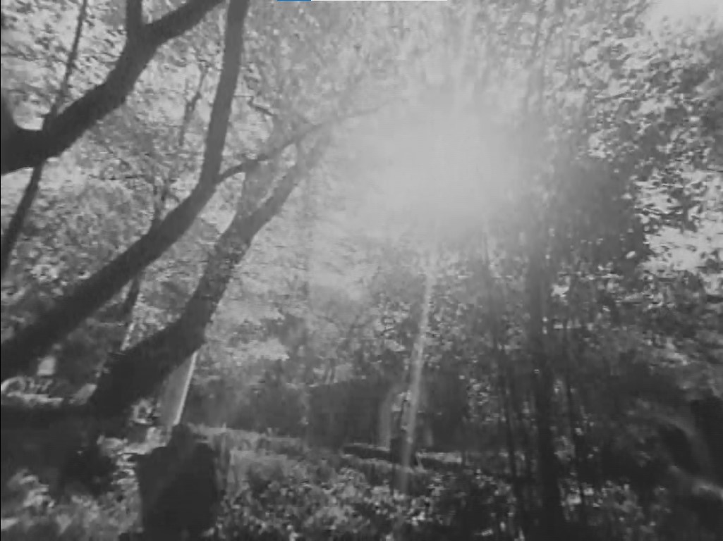 Still frame per Quando mi svegliai - immagine 2